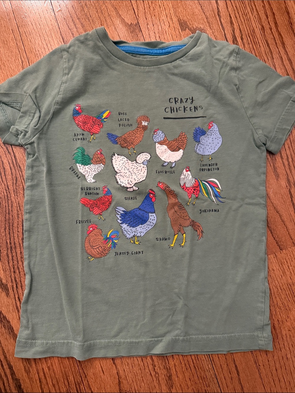Mini Boden chicken shirt - boys 6/7